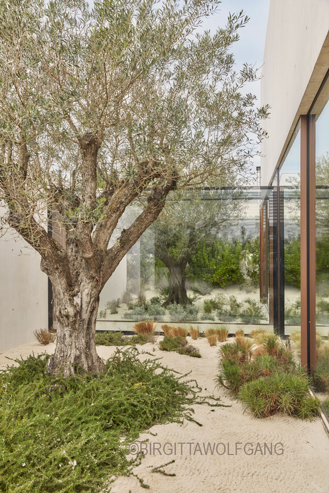 WHERE NATURE BECOMES ARCHITECTURE